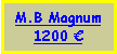 Text Box: M.B Magnum1200 €